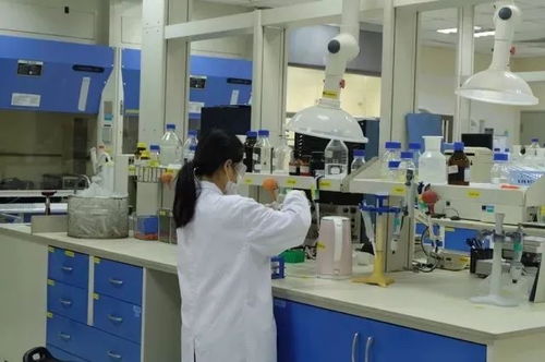 小奶罐萌力来袭 探秘多美滋上海工厂与技术交流之旅